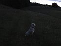 NightShots 022
